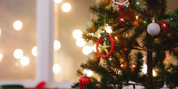 ¿QUÉ ES EL SÍNDROME DEL ÁRBOL DE NAVIDAD?