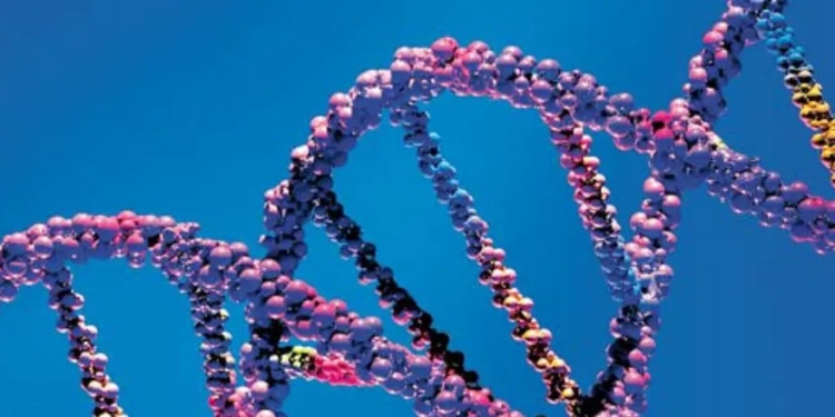 CREAN ‘ANCIBD’ QUE TE DESCUBRE TU HISTORIA GENÉTICA Y ANTEPASADOS