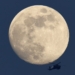 LUNA FRÍA, EL ÚLTIMO EVENTO ASTRONÓMICO DEL 2023