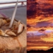 TIKTOKER VIAJERA SE ENAMORA DE SONORA, SUS ATARDECERES Y DE SU GENTE