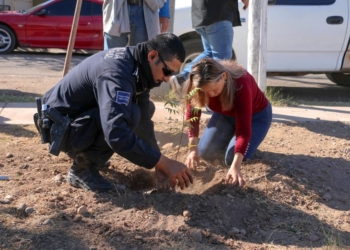 RESCATA PROGRAMAS PREVENTIVOS PARQUE DEL FRACCIONAMIENTO PEDREGAL