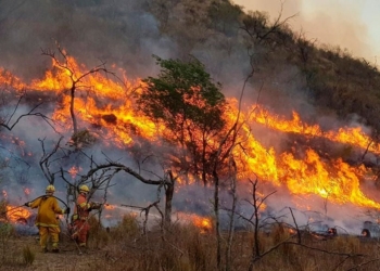 ATIENDE GOBIERNO DE SONORA PROTOCOLOS DE PREVENCIÓN PARA CONTROL DE INCENDIOS FORESTALES