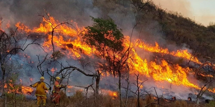 ATIENDE GOBIERNO DE SONORA PROTOCOLOS DE PREVENCIÓN PARA CONTROL DE INCENDIOS FORESTALES