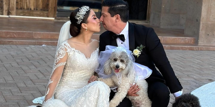 POSARON EL DÍA DE SU BODA ACOMPAÑADOS DE SUS PERRHIJOS