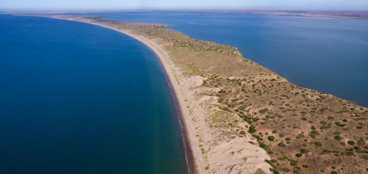 REALIZARÁN RECORRIDOS PARA VISITANTES  POR LA ISLA HUIVULAI