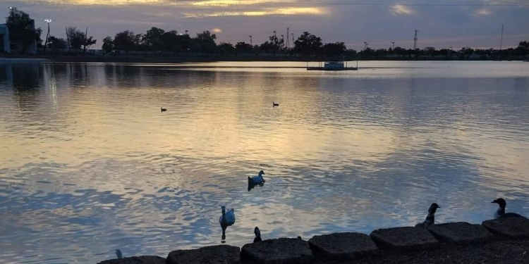 OLVIDAN FUENTES DANZANTES DE LA LAGUNA DEL NÁINARI