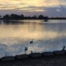 OLVIDAN FUENTES DANZANTES DE LA LAGUNA DEL NÁINARI