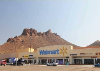 SUSPENDEN SUPERMERCADO DE GUAYMAS POR PLAGA DE RATAS