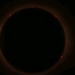 A OSCURAS, ASÍ DISFRUTARON LAS PERSONAS EL ECLIPSE TOTAL DE SOL EN MAZATLÁN, SINALOA