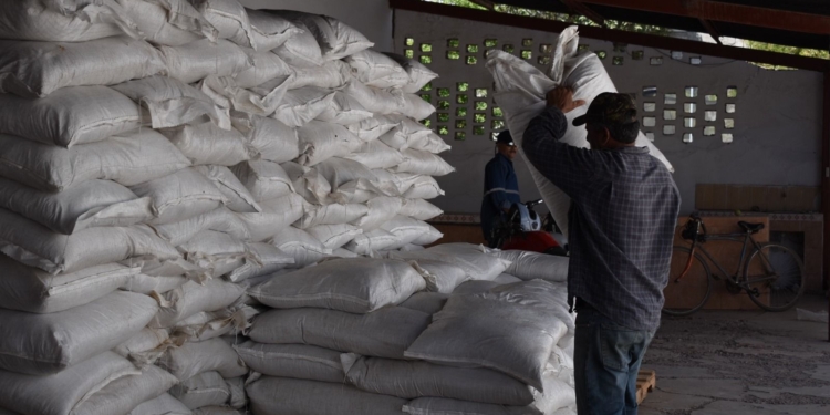 INICIA ENTREGA DE ALIMENTO PARA GANADO DENTRO DEL PLAN ESTRATÉGICO DEL GOBIERNO DE SONORA EN MATERIA HÍDRICA