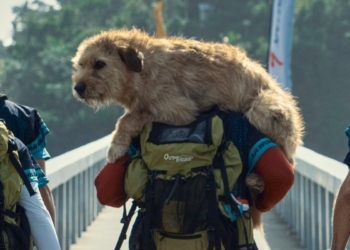 “ARTHUR”,LA HISTORIA DE MIKAEL LINDNORD Y UN PERRO QUE ENCONTRÓ UN NUEVO HOGAR