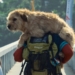 “ARTHUR”,LA HISTORIA DE MIKAEL LINDNORD Y UN PERRO QUE ENCONTRÓ UN NUEVO HOGAR