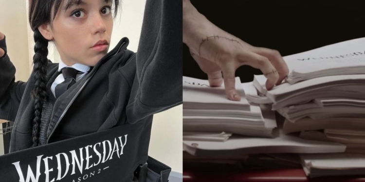 NETFLIX PRESENTA EL ELENCO DE LA SEGUNDA TEMPORADA DE «WEDNESDAY» CON CHRISTOPHER LLOYD