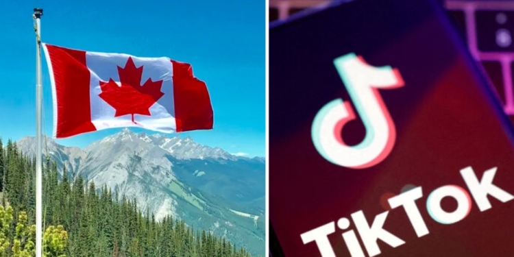 LA INTELIGENCIA DE CANADÁ DICE QUE TIKTOK PERMITE A CHINA CAPTAR DATOS DE SUS USUARIOS