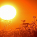 LLAMA PROTECCIÓN CIVIL A EXTREMAR CUIDADOS ANTE OLA DE CALOR