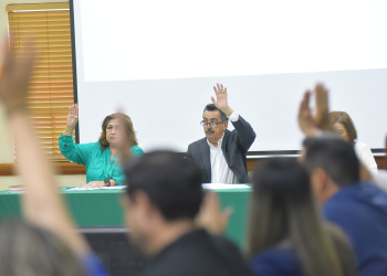 APRUEBA CABILDO REGLAMENTO DEL CONSEJO PARA LA PREVENCIÓN Y ATENCIÓN DE LA VIOLENCIA FAMILIAR Y DE GÉNERO
