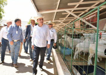 OBTIENE SONORA RÉCORD HISTÓRICO EN EXPORTACIÓN DE GANADO: ALFONSO DURAZO