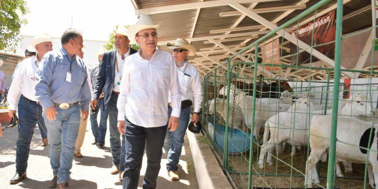 OBTIENE SONORA RÉCORD HISTÓRICO EN EXPORTACIÓN DE GANADO: ALFONSO DURAZO