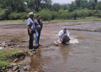 RÍO YAQUI EN SONORA SIN CONTAMINACIÓN ; MUERTE DE PECES FUE POR FALTA DE OXIGENACIÓN: PROTECCIÓN CIVIL