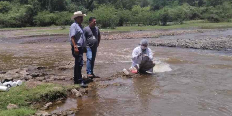 RÍO YAQUI EN SONORA SIN CONTAMINACIÓN ; MUERTE DE PECES FUE POR FALTA DE OXIGENACIÓN: PROTECCIÓN CIVIL