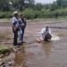RÍO YAQUI EN SONORA SIN CONTAMINACIÓN ; MUERTE DE PECES FUE POR FALTA DE OXIGENACIÓN: PROTECCIÓN CIVIL