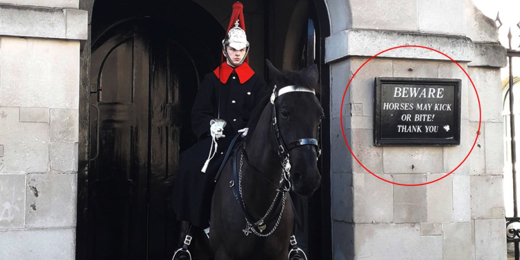 MORDIDA REAL: CABALLO DE LA GUARDIA REAL DA “CARIÑITO” A TURISTA QUE NO RESPETÓ LETRERO
