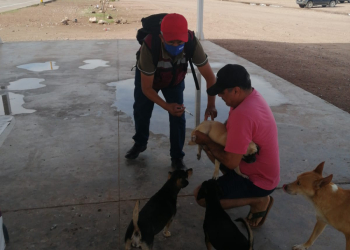 INVITA SALUD MUNICIPAL A CAMPAÑA DE VACUNACIÓN ANTIRRÁBICA PARA MASCOTAS