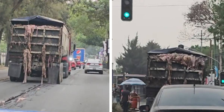 CAMIÓN DERRAMA VÍSCERAS EN PLENA AVENIDA DE LA CDMX