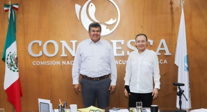 SONORA PRIMER LUGAR EN PRODUCCIÓN PESQUERA: CONAPESCA