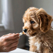 UN CACHORRITO REACCIONA AL RECIBIR SU MEDICINA DE UNA MANERA PECULIAR