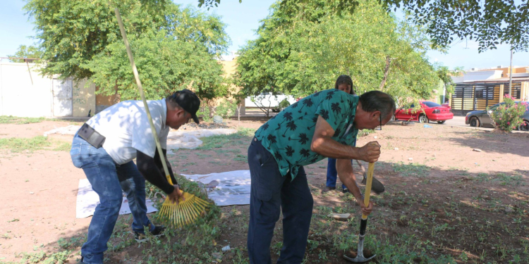 REALIZA PROGRAMAS PREVENTIVOS DE LA SSPM ACCIONES DE REFORESTACIÓN