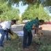 REALIZA PROGRAMAS PREVENTIVOS DE LA SSPM ACCIONES DE REFORESTACIÓN
