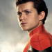 ¡ES UN HECHO! TOM HOLLAND REGRESA COMO PETER PARKER EN SPIDER-MAN 4