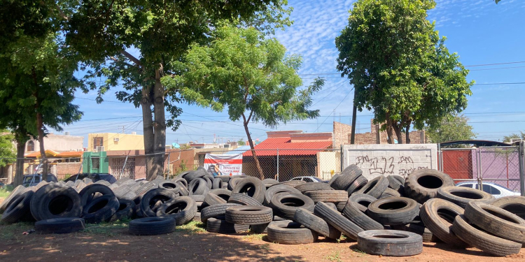 CONCLUYE CON ÉXITO ‘LLANTATÓN 2024’