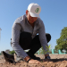 PROMUEVEN CUIDADO DEL MEDIOAMBIENTE CON REFORESTACIÓN EN EL PERÍMETRO DEL ESTADIO ‘PIRI’ SAGASTA