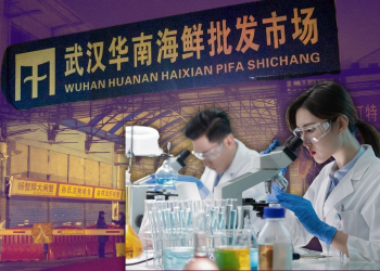 NUEVO ANÁLISIS CORROBORA EL ORIGEN DEL COVID-19 EN MERCADO DE WUHAN
