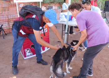 CON ÉXITO DIO INICIO EN CAJEME LA JORNADA DE SALUD CANINA Y FELINA