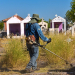 INICIAN TRABAJOS DE LIMPIEZA Y MANTENIMIENTO EN LOS PANTEONES DEL MUNICIPIO DE CAJEME