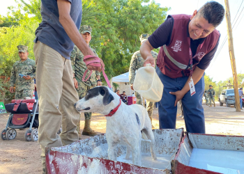 IMPACTA FAVORABLEMENTE JORNADA DE SALUD CANINA Y FELINA EN LA MAXIMILIANO R. LÓPEZ