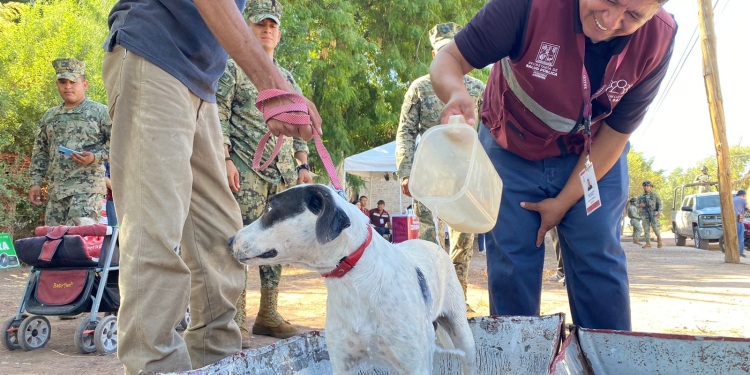 IMPACTA FAVORABLEMENTE JORNADA DE SALUD CANINA Y FELINA EN LA MAXIMILIANO R. LÓPEZ
