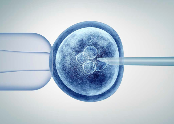 CIENTÍFICOS CHINOS ENCUENTRAN UNA CURA PARA LA DIABETES TIPO 1