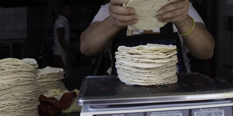 MÉXICO PROMETE BAJAR EL PRECIO DE LA TORTILLA EN 10% Y AUTOSUFICIENCIA EN MAÍZ Y FRIJOL