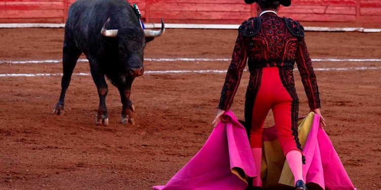 ¿LAS CORRIDAS DE TOROS LLEGAN A SU FIN? ESTO DIJO SHEINBAUM SOBRE PROTECCIÓN ANIMAL