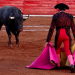 ¿LAS CORRIDAS DE TOROS LLEGAN A SU FIN? ESTO DIJO SHEINBAUM SOBRE PROTECCIÓN ANIMAL