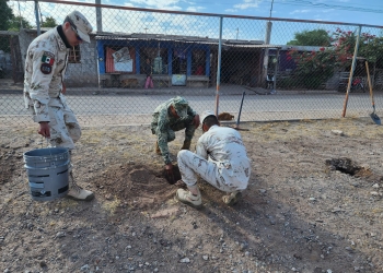 BENEFICIAN A CIUDADANÍA CON TERCERA BRIGADA SOCIAL EN LA COLONIA CAJEME