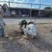BENEFICIAN A CIUDADANÍA CON TERCERA BRIGADA SOCIAL EN LA COLONIA CAJEME