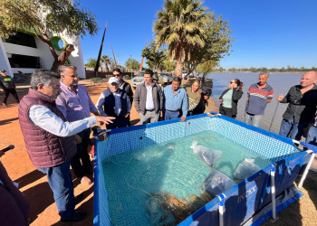 FIRMA GOBIERNO MUNICIPAL CONVENIO DE COLABORACIÓN CON INSTITUTO DE ACUACULTURA DEL ESTADO DE SONORA