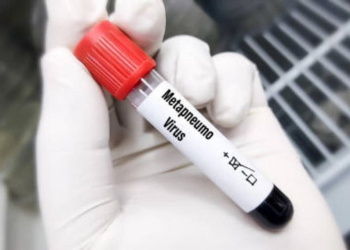 METAPNEUMOVIRUS EN CHINA; ¿QUÉ TAN PREOCUPANTE ES? ESTO ES LO QUE HAY QUE SABER