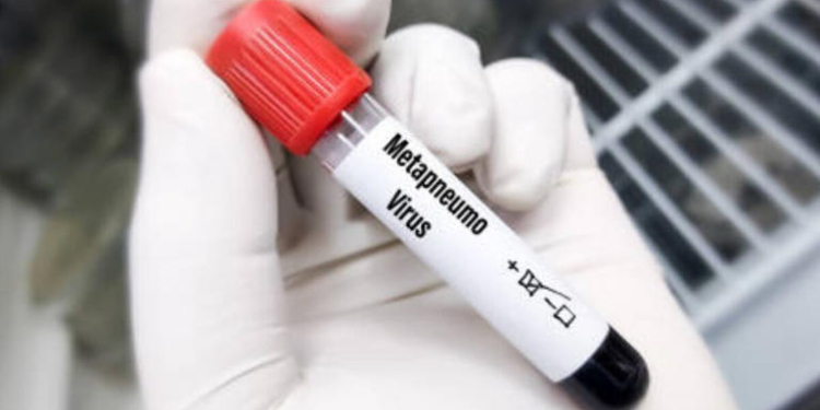 METAPNEUMOVIRUS EN CHINA; ¿QUÉ TAN PREOCUPANTE ES? ESTO ES LO QUE HAY QUE SABER