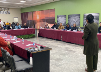 INSTITUTO CAJEMENSE DE LA MUJER (ICM) IMPARTE PLÁTICA INFORMATIVA A COMISARIOS Y DELEGADOS